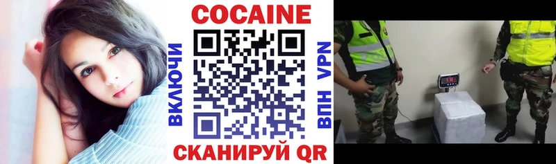 КОКАИН Fish Scale  Купить закладки  Брянск 