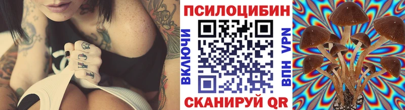 Купить  Брянск  Галлюциногенные грибы Psilocybe 